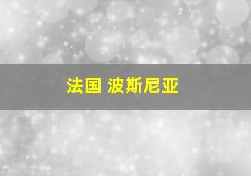 法国 波斯尼亚